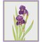 Bearded Iris Flower Inspired by Pierre-Joseph Redoute Counted Cross Stitch Pattern